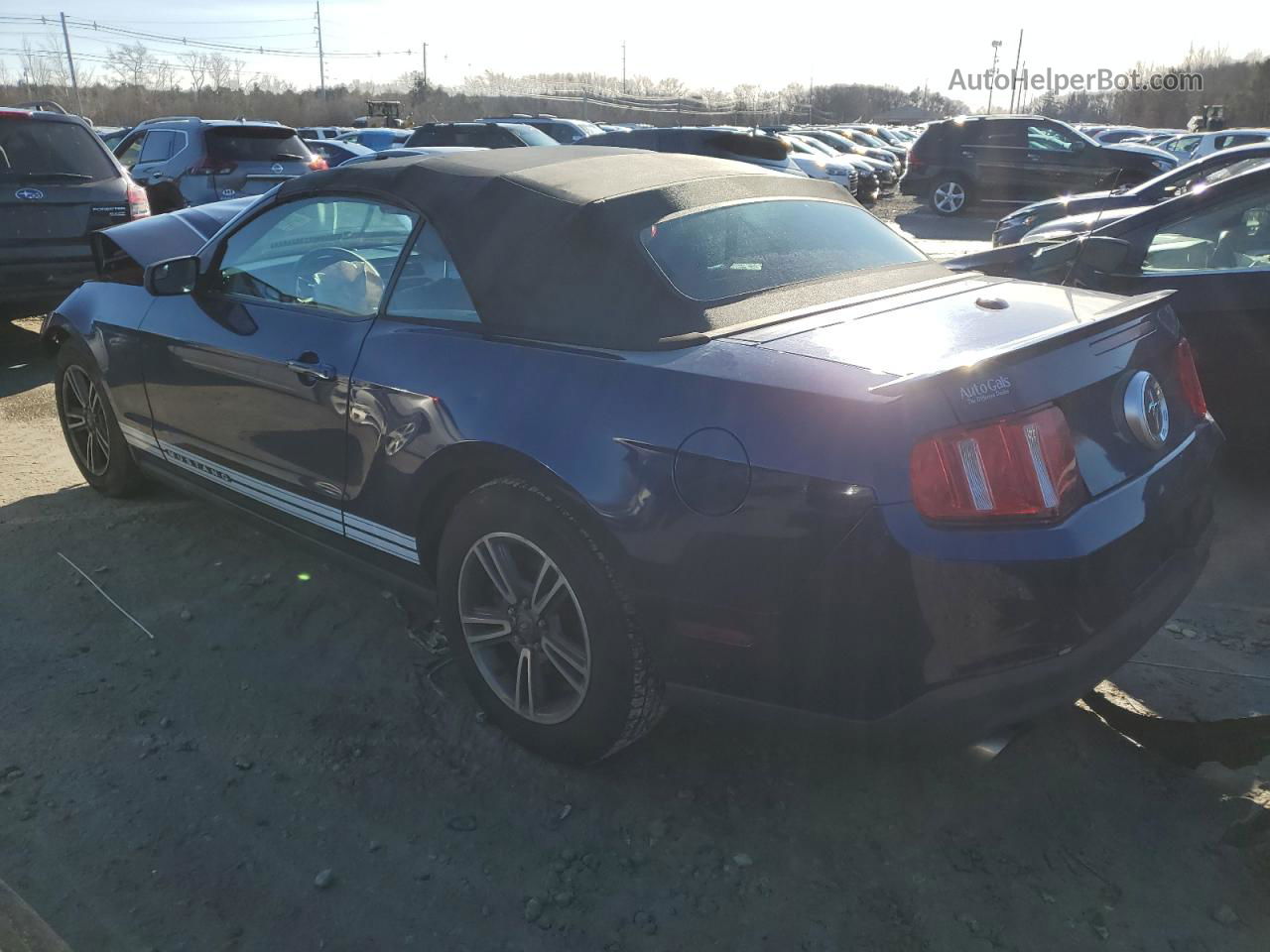 2011 Ford Mustang  Blue vin: 1ZVBP8EM2B5148751