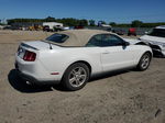 2011 Ford Mustang  White vin: 1ZVBP8EM2B5150435