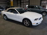 2011 Ford Mustang  White vin: 1ZVBP8EM2B5162603