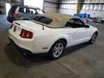 2011 Ford Mustang  White vin: 1ZVBP8EM2B5162603