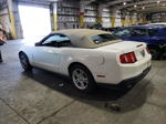 2011 Ford Mustang  White vin: 1ZVBP8EM2B5162603