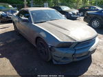 2011 Ford Mustang V6 Premium Gray vin: 1ZVBP8EM3B5120411