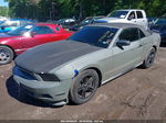 2011 Ford Mustang V6 Premium Gray vin: 1ZVBP8EM3B5120411