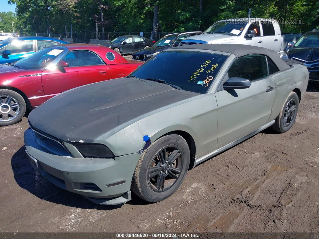 2011 Ford Mustang V6 Premium Gray vin: 1ZVBP8EM3B5120411