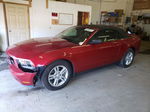 2011 Ford Mustang  Red vin: 1ZVBP8EM3B5135989