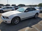 2011 Ford Mustang  White vin: 1ZVBP8EM3B5163534