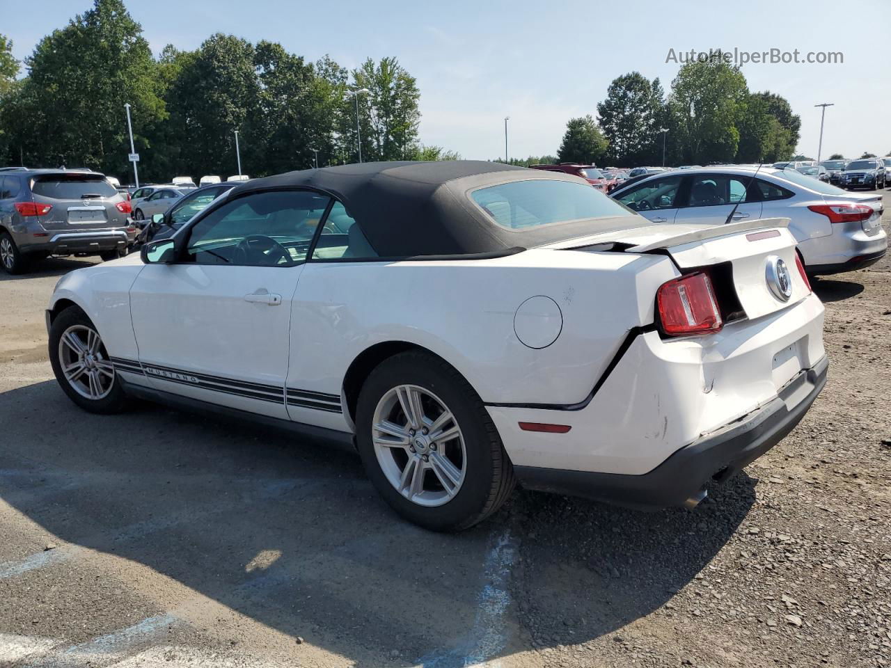 2011 Ford Mustang  White vin: 1ZVBP8EM3B5163534