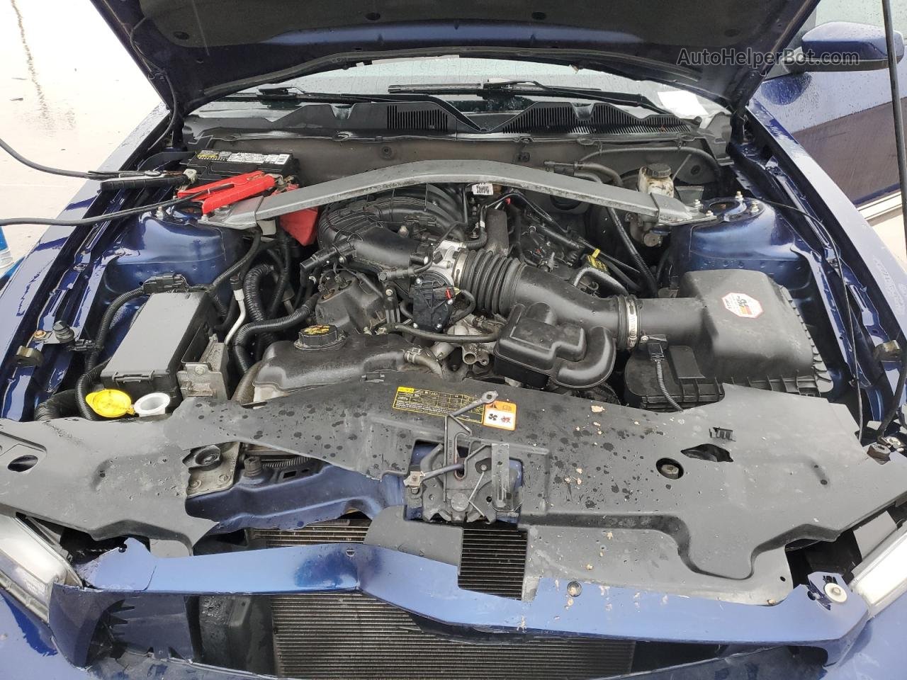 2011 Ford Mustang  Синий vin: 1ZVBP8EM4B5125102