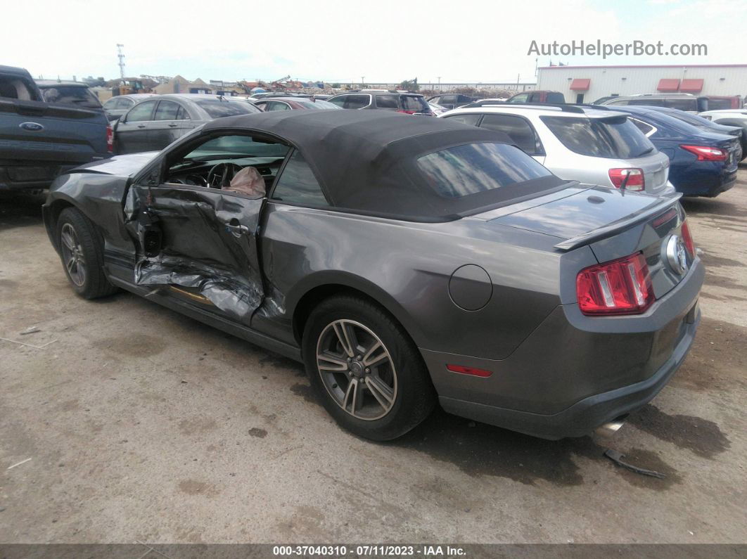 2011 Ford Mustang V6 Черный vin: 1ZVBP8EM4B5126704