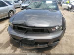 2011 Ford Mustang V6 Черный vin: 1ZVBP8EM4B5126704