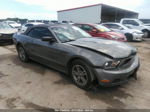 2011 Ford Mustang V6 Черный vin: 1ZVBP8EM4B5126704