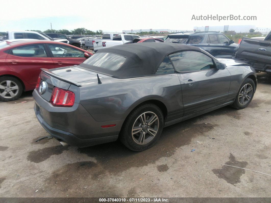 2011 Ford Mustang V6 Black vin: 1ZVBP8EM4B5126704