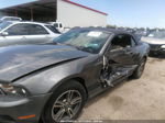 2011 Ford Mustang V6 Black vin: 1ZVBP8EM4B5126704