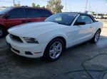 2011 Ford Mustang  White vin: 1ZVBP8EM4B5129358