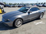 2014 Ford Mustang  Угольный vin: 1ZVBP8EM4E5262190