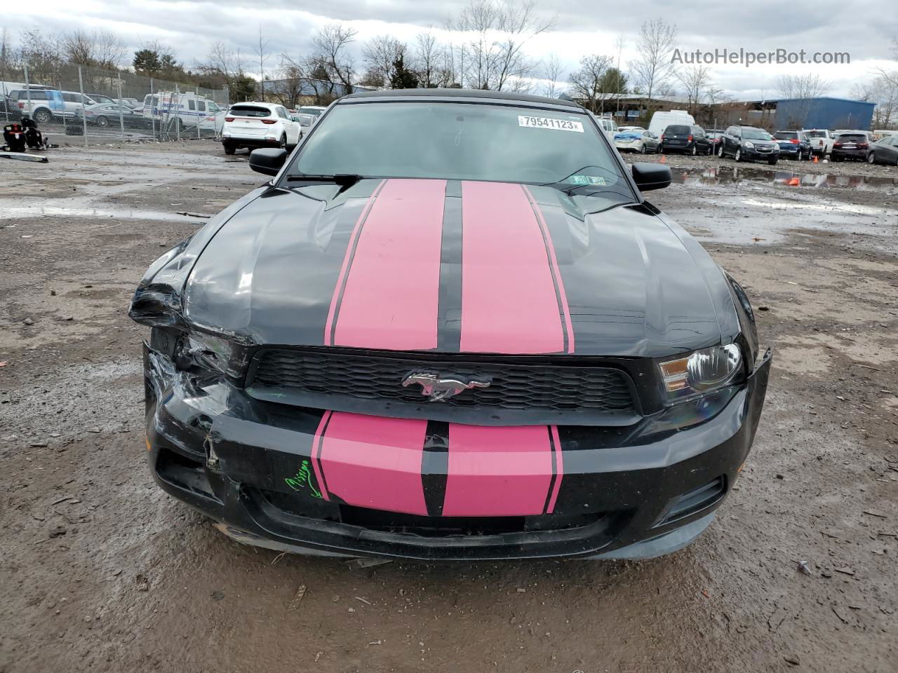 2011 Ford Mustang  Black vin: 1ZVBP8EM5B5140403