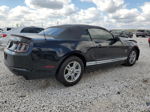 2014 Ford Mustang  Black vin: 1ZVBP8EM7E5209466