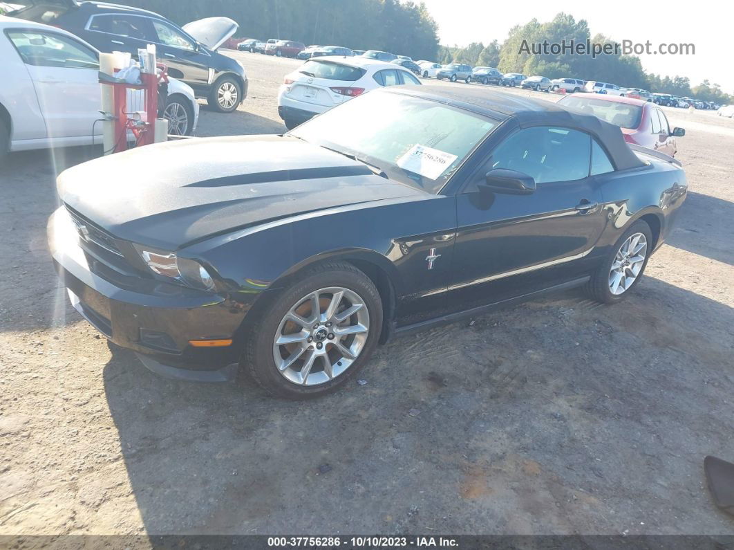 2011 Ford Mustang V6 Black vin: 1ZVBP8EM8B5139343