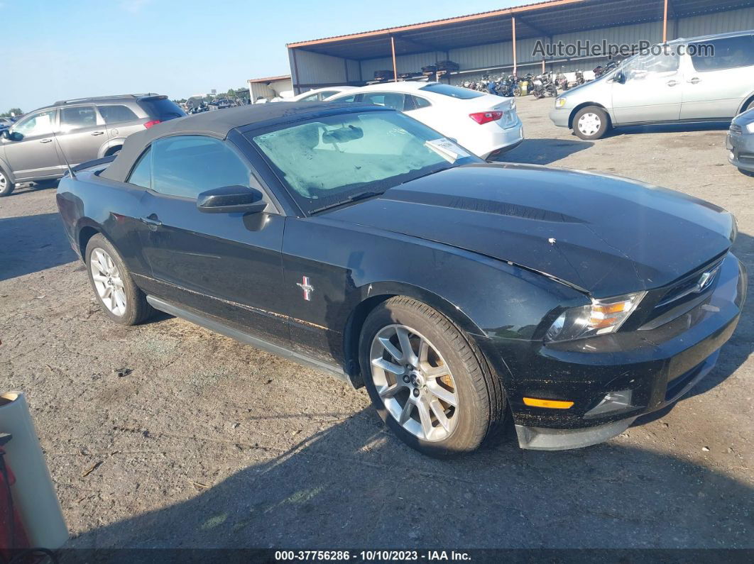 2011 Ford Mustang V6 Черный vin: 1ZVBP8EM8B5139343