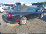 2011 Ford Mustang V6 Black vin: 1ZVBP8EM8B5139343