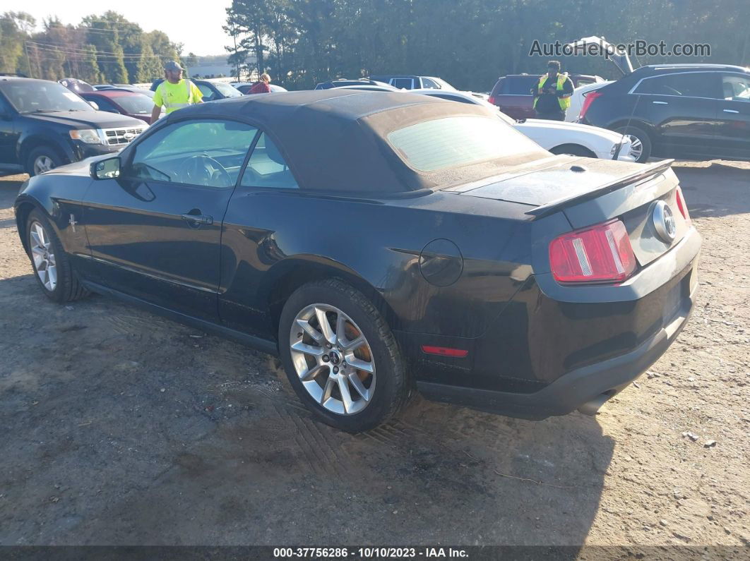 2011 Ford Mustang V6 Black vin: 1ZVBP8EM8B5139343