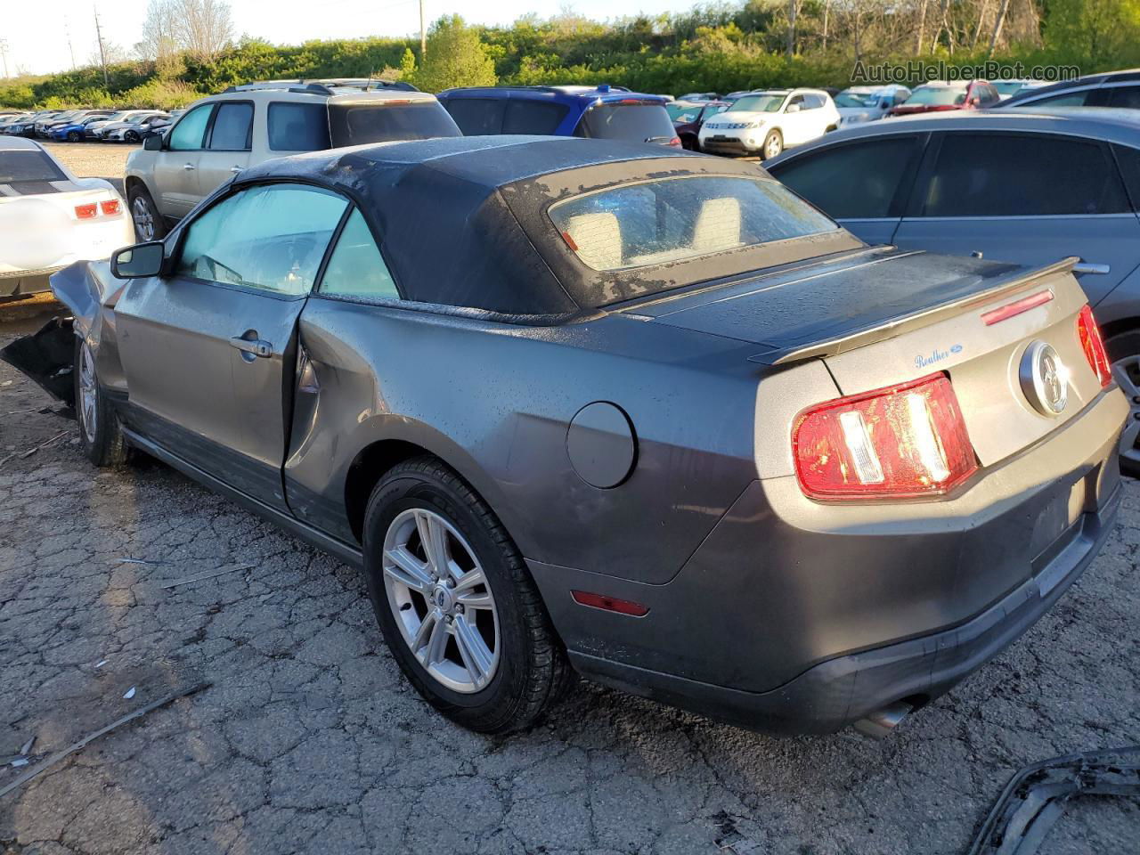 2011 Ford Mustang  Silver vin: 1ZVBP8EM8B5161746