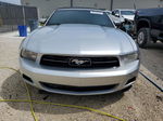 2011 Ford Mustang  Silver vin: 1ZVBP8EM9B5141540