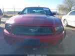 2011 Ford Mustang V6 Темно-бордовый vin: 1ZVBP8EM9B5150366