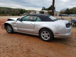 2014 Ford Mustang  Silver vin: 1ZVBP8EM9E5318477