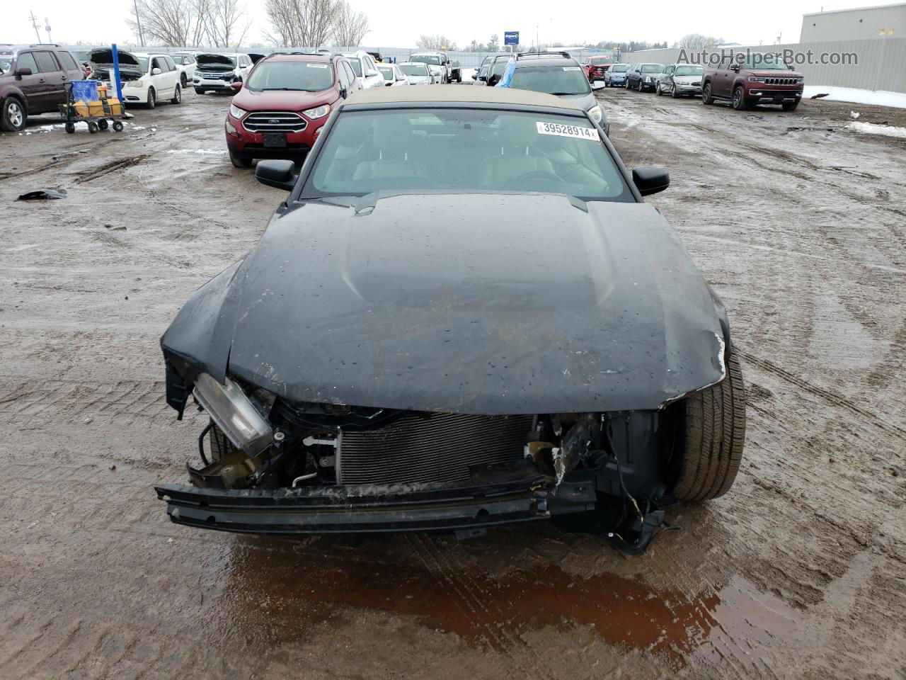 2011 Ford Mustang  Black vin: 1ZVBP8EMXB5117778