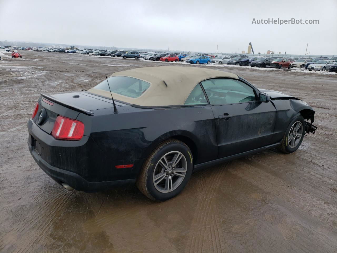 2011 Ford Mustang  Black vin: 1ZVBP8EMXB5117778