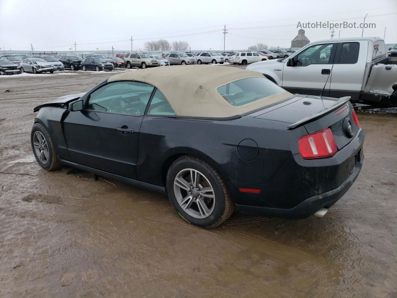 2011 Ford Mustang  Black vin: 1ZVBP8EMXB5117778