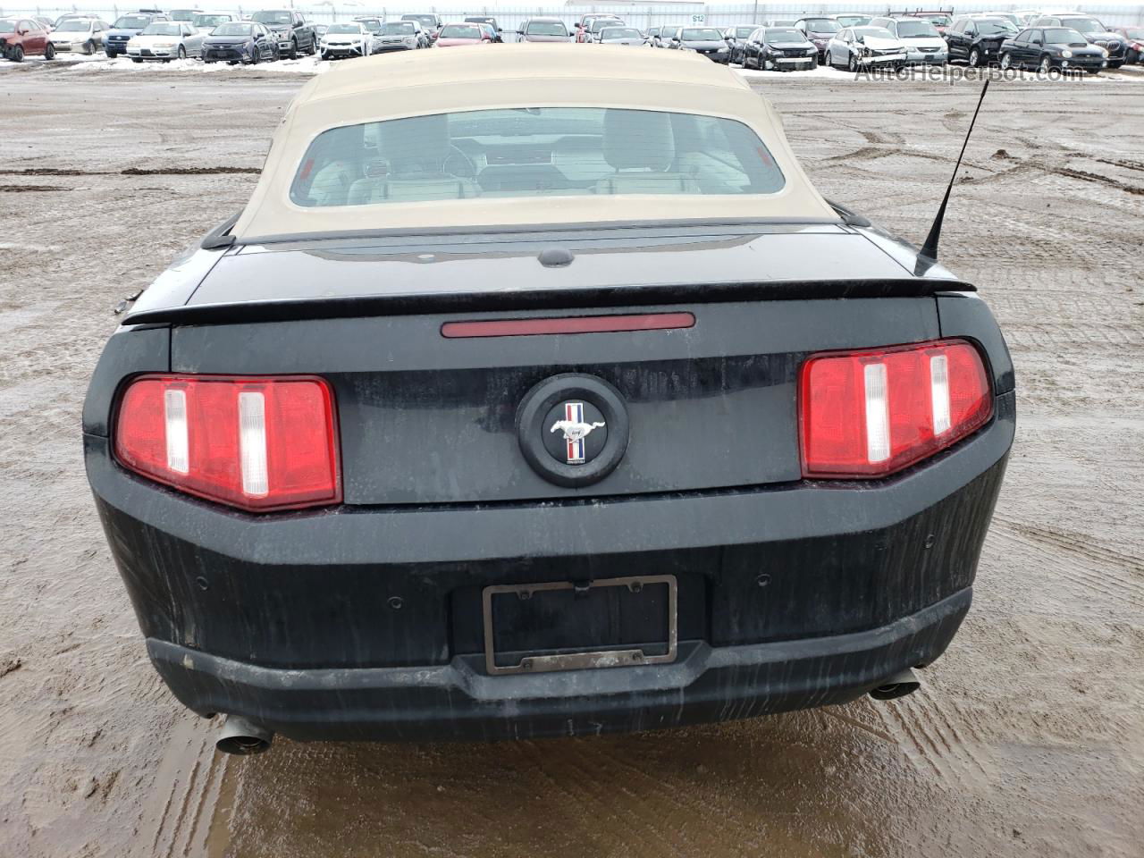 2011 Ford Mustang  Black vin: 1ZVBP8EMXB5117778