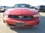 2011 Ford Mustang  Red vin: 1ZVBP8EMXB5154118