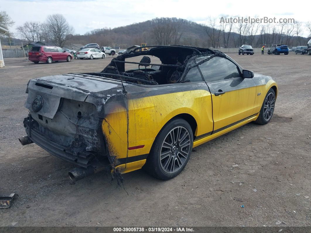 2011 Ford Mustang Gt Premium Желтый vin: 1ZVBP8FF0B5153480