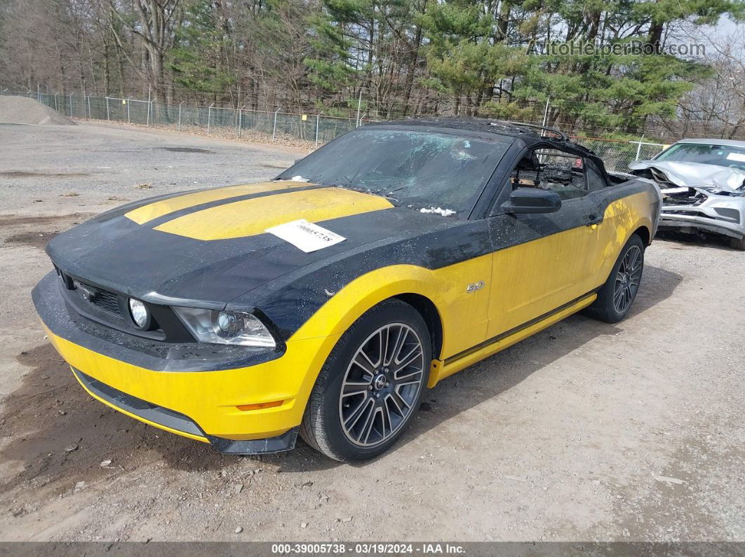 2011 Ford Mustang Gt Premium Желтый vin: 1ZVBP8FF0B5153480