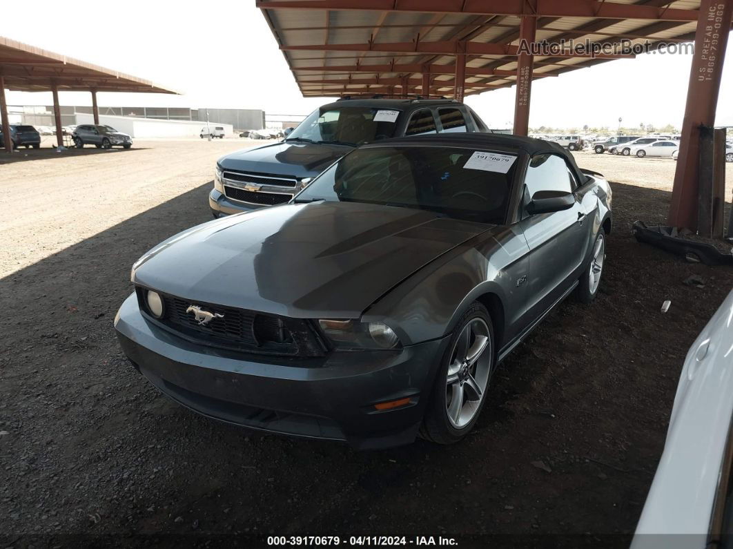 2011 Ford Mustang Gt Premium Серый vin: 1ZVBP8FF3B5131960