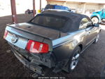 2011 Ford Mustang Gt Premium Gray vin: 1ZVBP8FF3B5131960