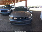 2011 Ford Mustang Gt Premium Gray vin: 1ZVBP8FF3B5131960