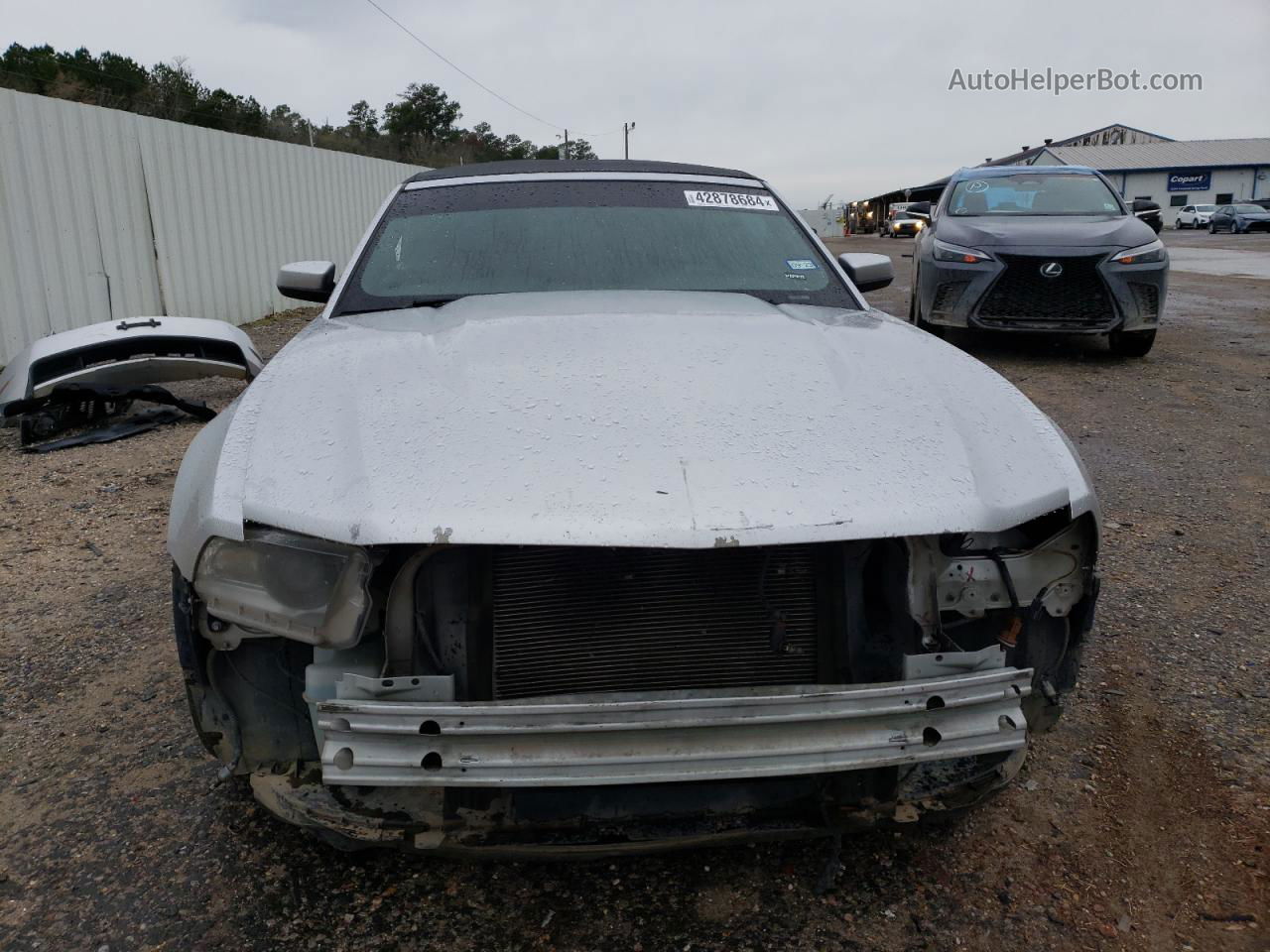 2011 Ford Mustang Gt Silver vin: 1ZVBP8FF6B5106146