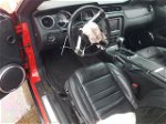 2011 Ford Mustang Gt Red vin: 1ZVBP8FF6B5168243