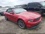 2011 Ford Mustang Gt Premium Red vin: 1ZVBP8FF8B5106794