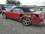 2011 Ford Mustang Gt Burgundy vin: 1ZVBP8FFXB5101211