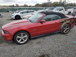 2011 Ford Mustang Gt Burgundy vin: 1ZVBP8FFXB5101211