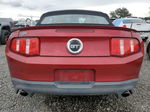 2011 Ford Mustang Gt Burgundy vin: 1ZVBP8FFXB5101211