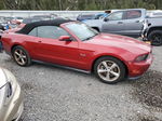 2011 Ford Mustang Gt Burgundy vin: 1ZVBP8FFXB5101211