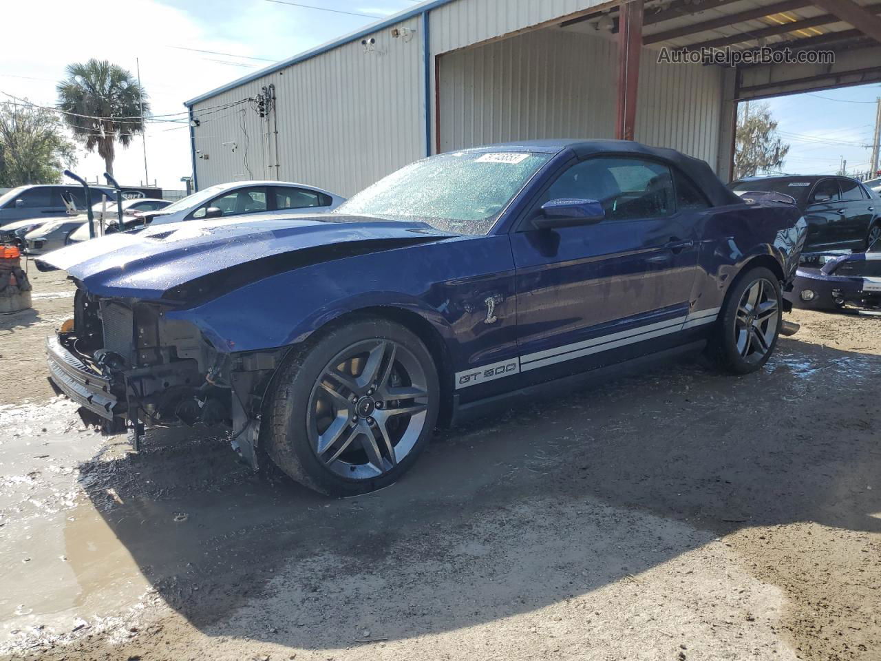 2011 Ford Mustang Shelby Gt500 Blue vin: 1ZVBP8KS9B5124112