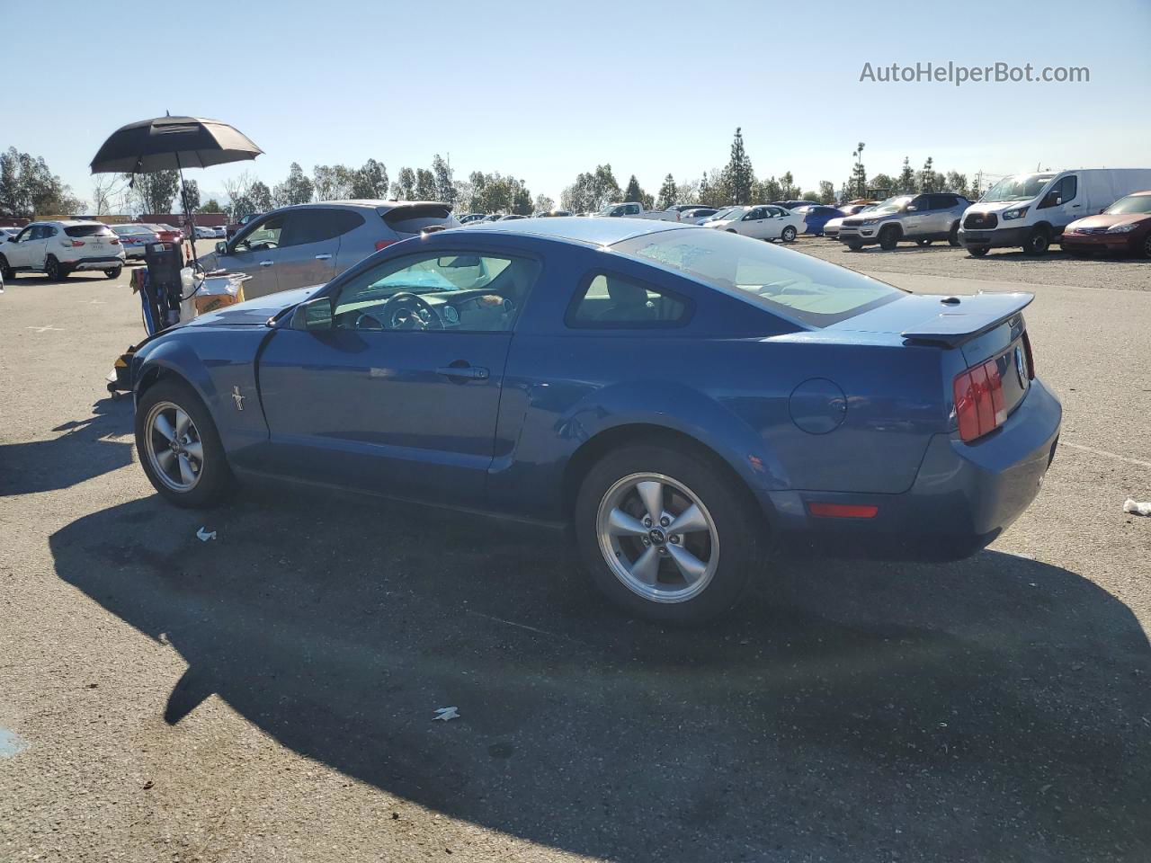 2008 Ford Mustang  Blue vin: 1ZVHT80N085138606