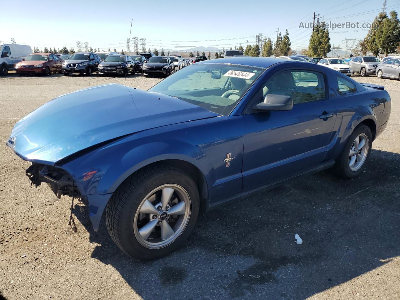 2008 Ford Mustang  Blue vin: 1ZVHT80N085138606