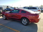 2008 Ford Mustang  Red vin: 1ZVHT80N085167801